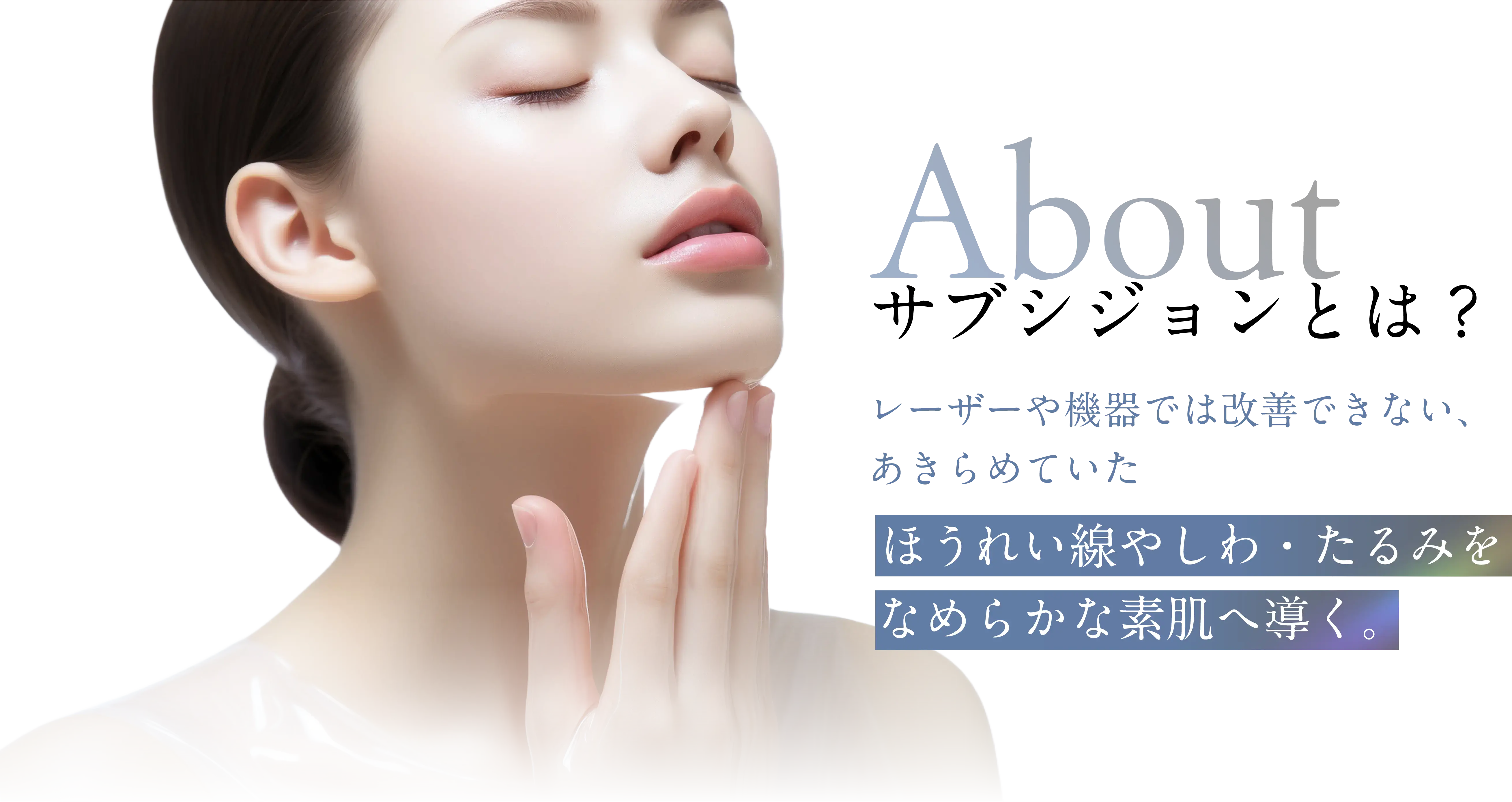 サブシジョンとは？