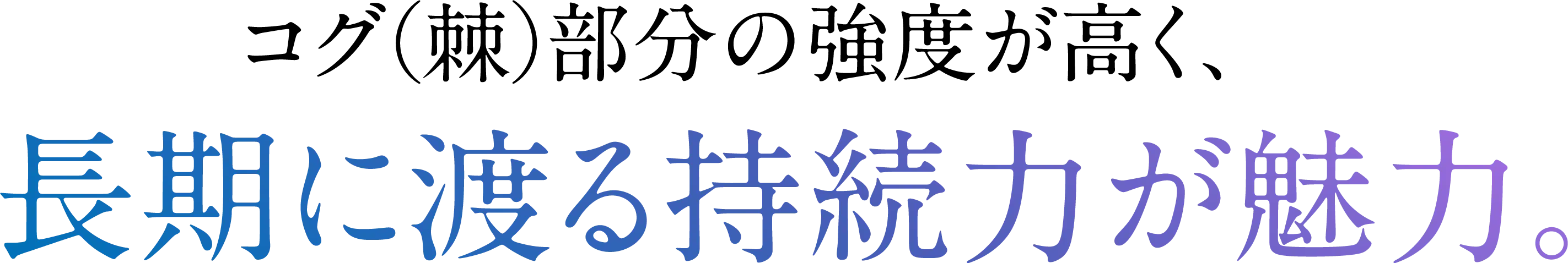 コグ(棘)部分の強度が強く長期に渡る持続力が魅力。