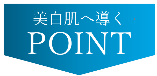 美白肌へ導くPOINT
